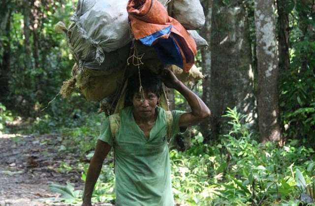 A Batak man carrying a heavy load the traditional way