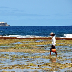 Un isleño recolectando en las costas de la ensenada Sibang en la Isla de Calayán