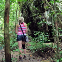 Exploring the forest interiors of Palawan