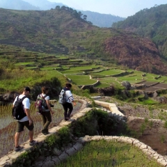 Terrazas de arroz en Sagada, Región de la Cordillera