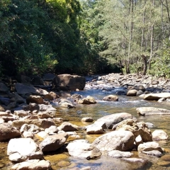 Dumangueña river