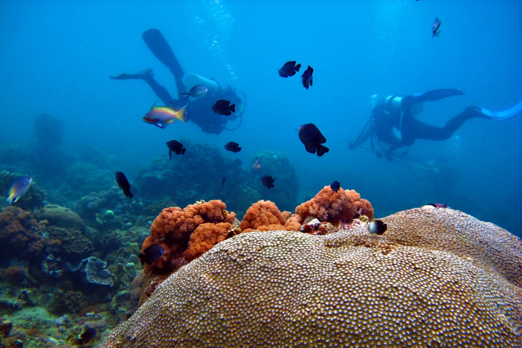 Plongeurs sous l'eau