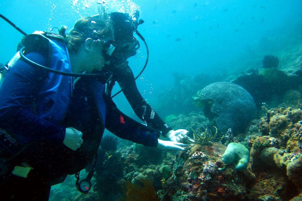 Tocando un lirio marino