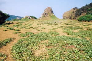 Grünland auf Calayan Insel