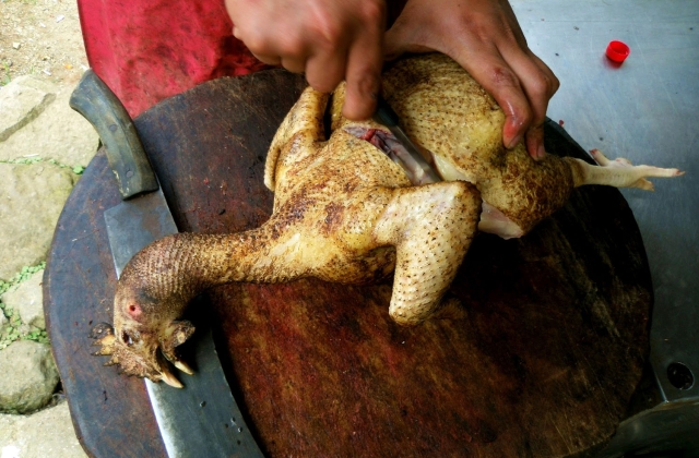 chicken pinikpikan