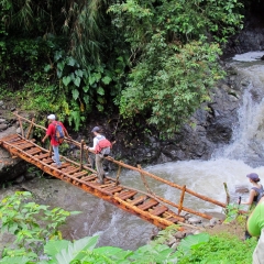 Auf dem Weg zum Batad