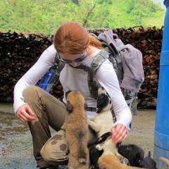 Native puppies of Batad