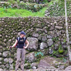 Reisterrassen Mauern auf dem Weg zum Bangaan