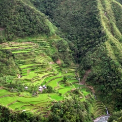 Aldea y terrazas de arroz en la distancia