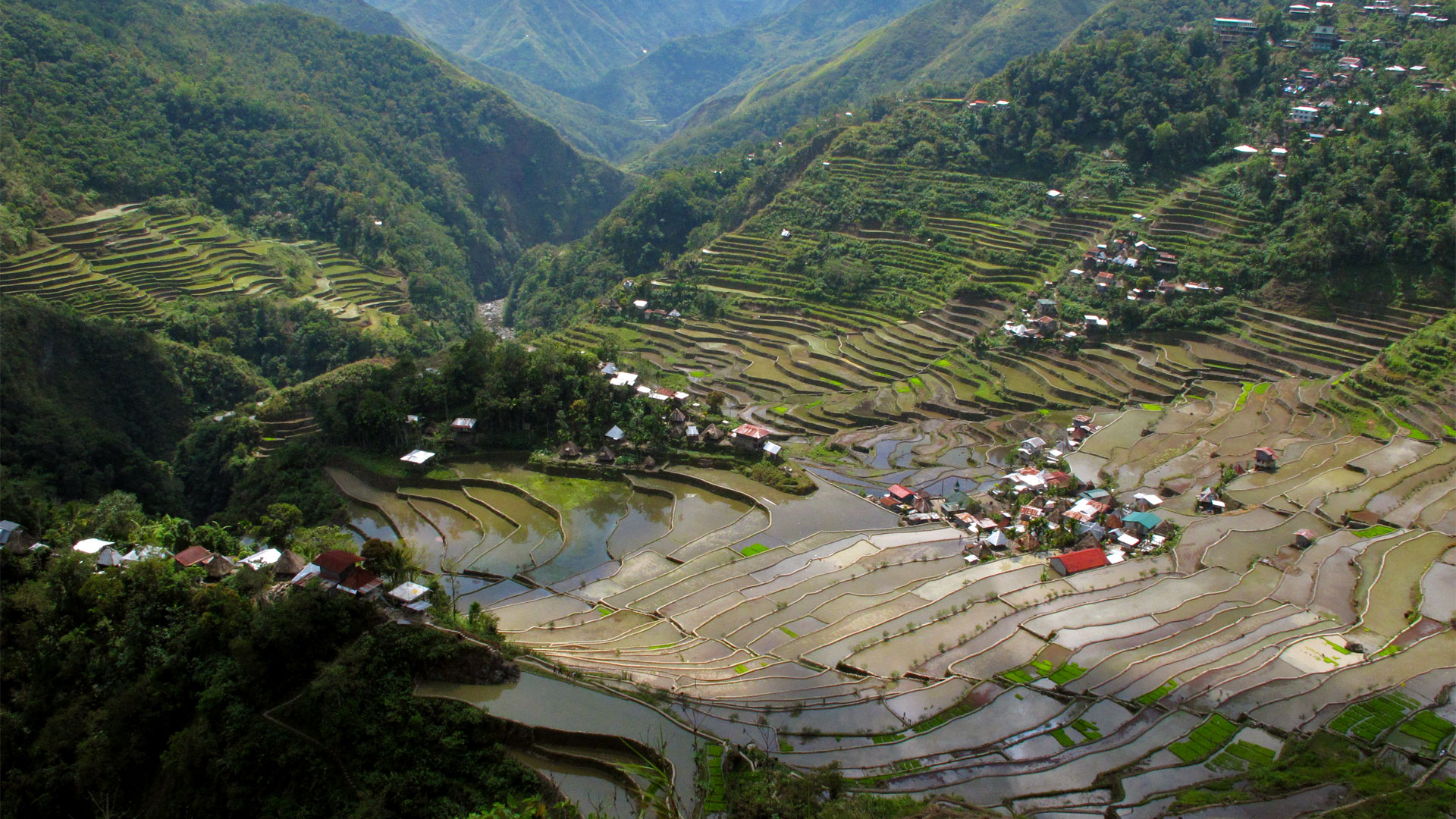Ifugao Villages Trek