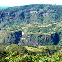 Les terrasses de riz sur les flancs des montagnes