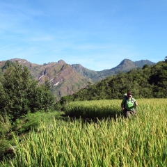 Wandern neben Reishalme