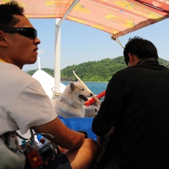 Plying the coastlines of Palaui island