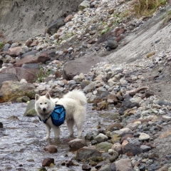 Cruzando un arroyo en el sendero