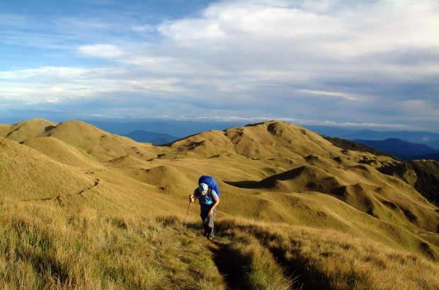 Unter der Wiese von Mt. Pulag