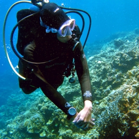 NAUI Advanced Scuba Diver Kurs
