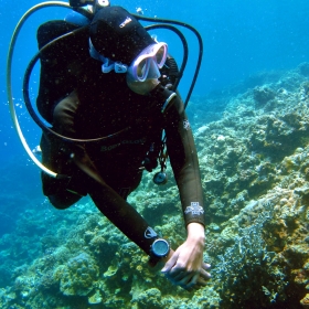 Cours Avancé de Plongée NAUI