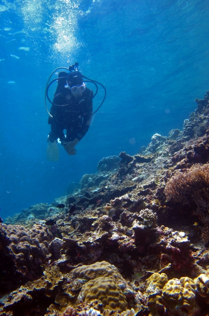 Un plongeur en admirant le paysage sous-marin